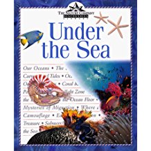 under the sea